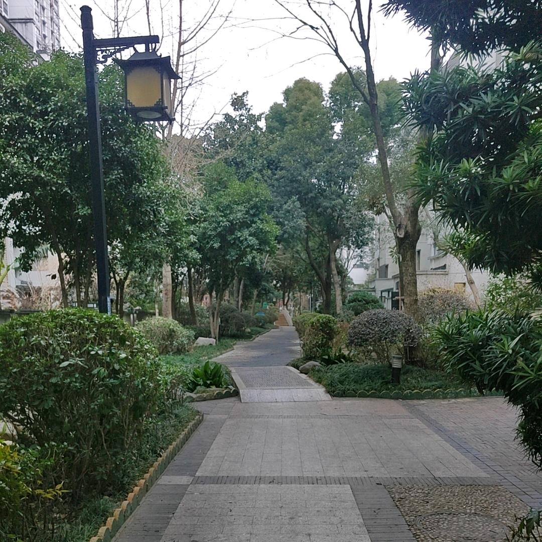 小辣椒。，