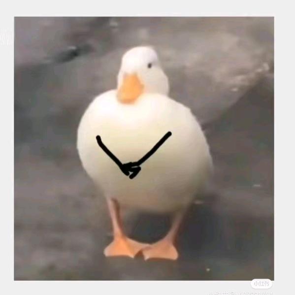 山楂糕与夏天的冬天