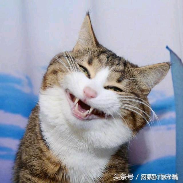 友情岁月