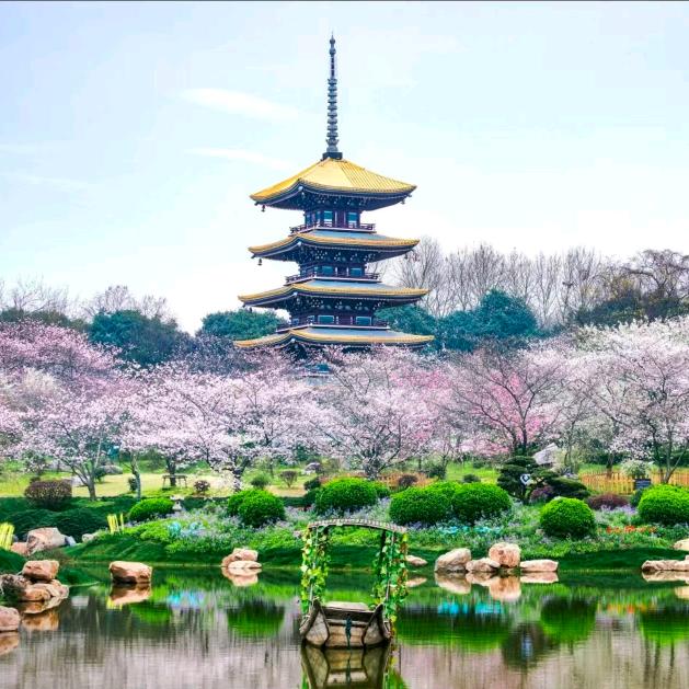 余生为自己而活