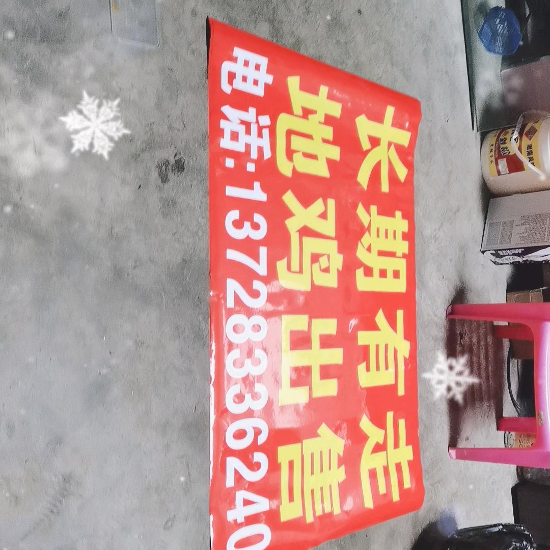 心痛的一架