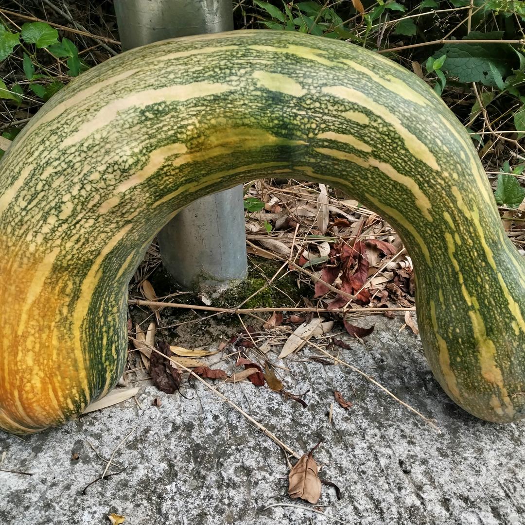 平平安安