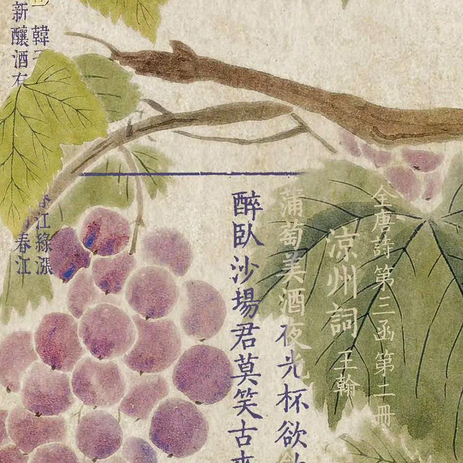 摄影机下的天桥