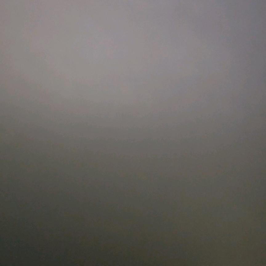 陈先生618