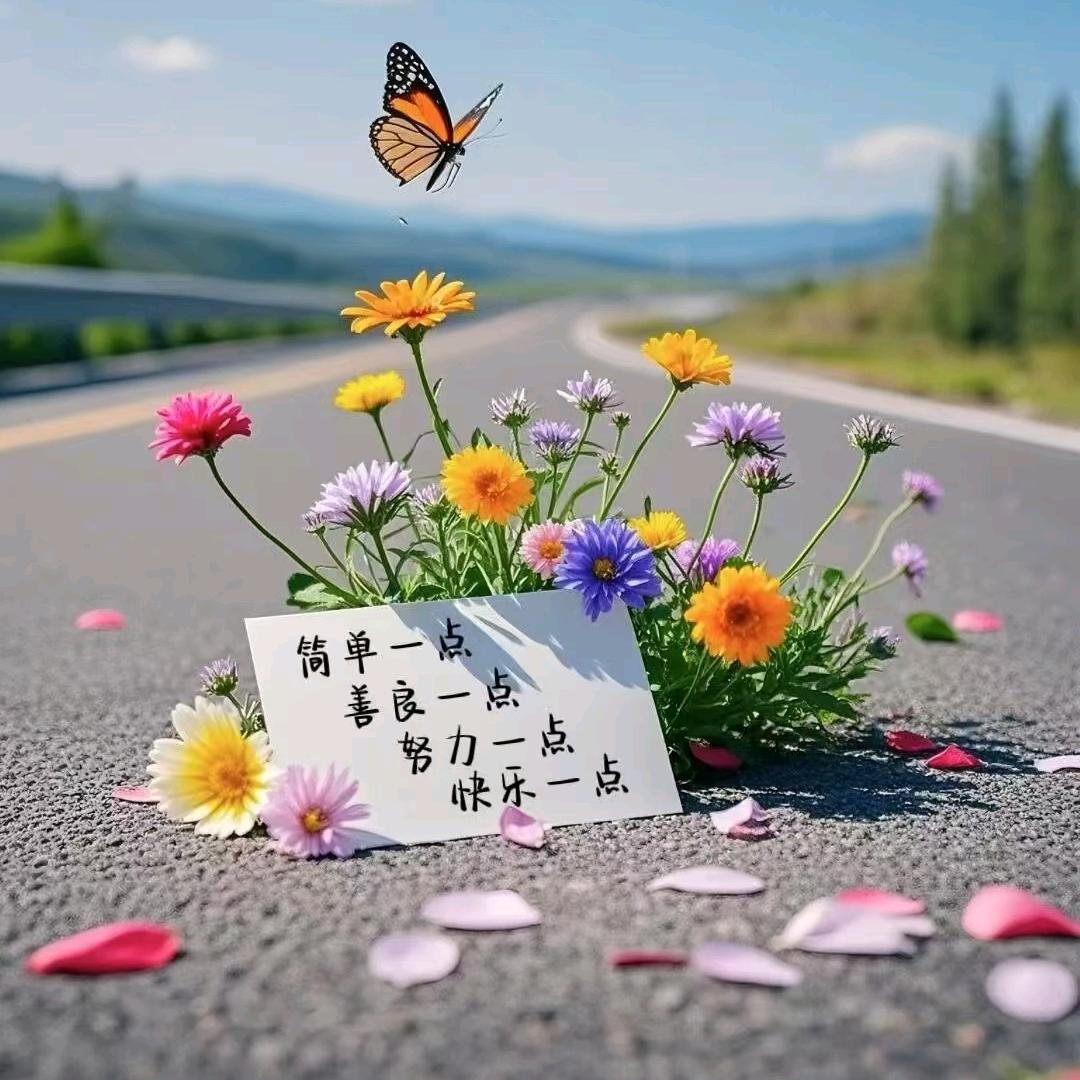 🍒做你的太阳🍀🍀🍀