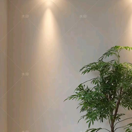 大鑫