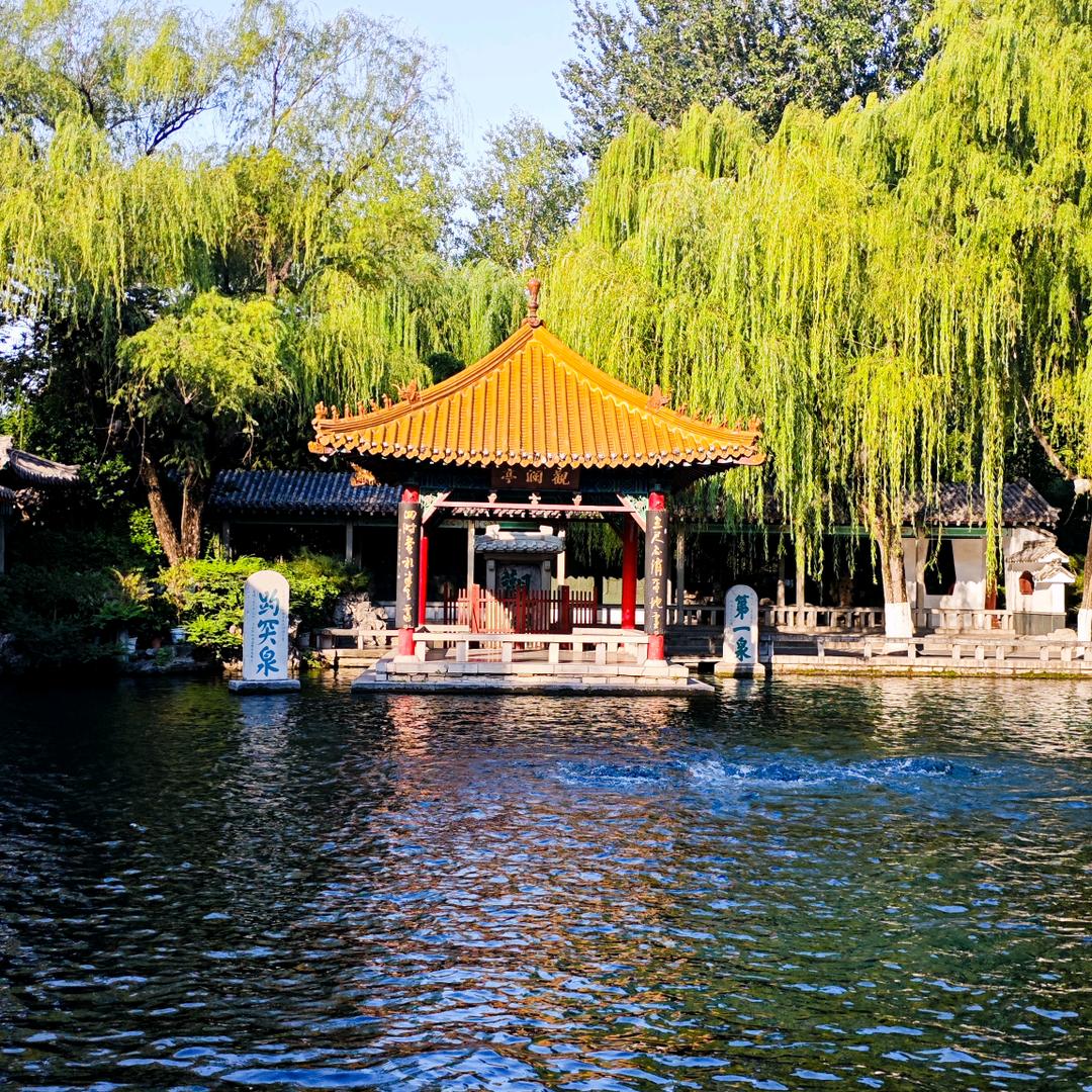 哈喽哥（每天中午11：30开播）
