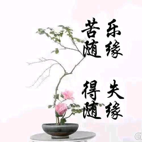 💖满城光不及1107💦