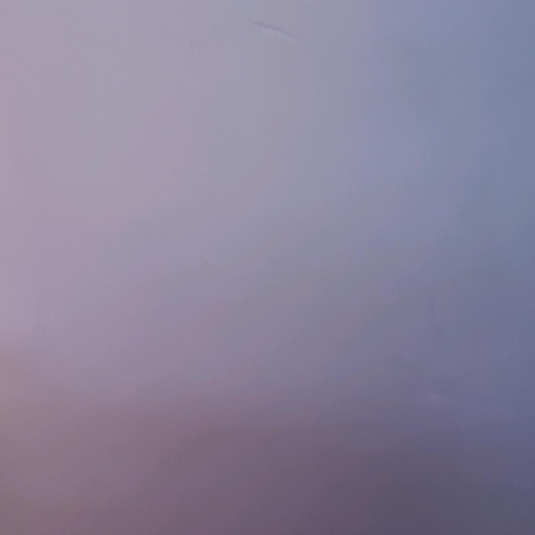 @向阳