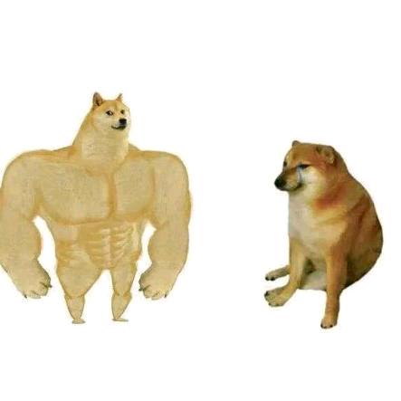 爱吃鲲的猫