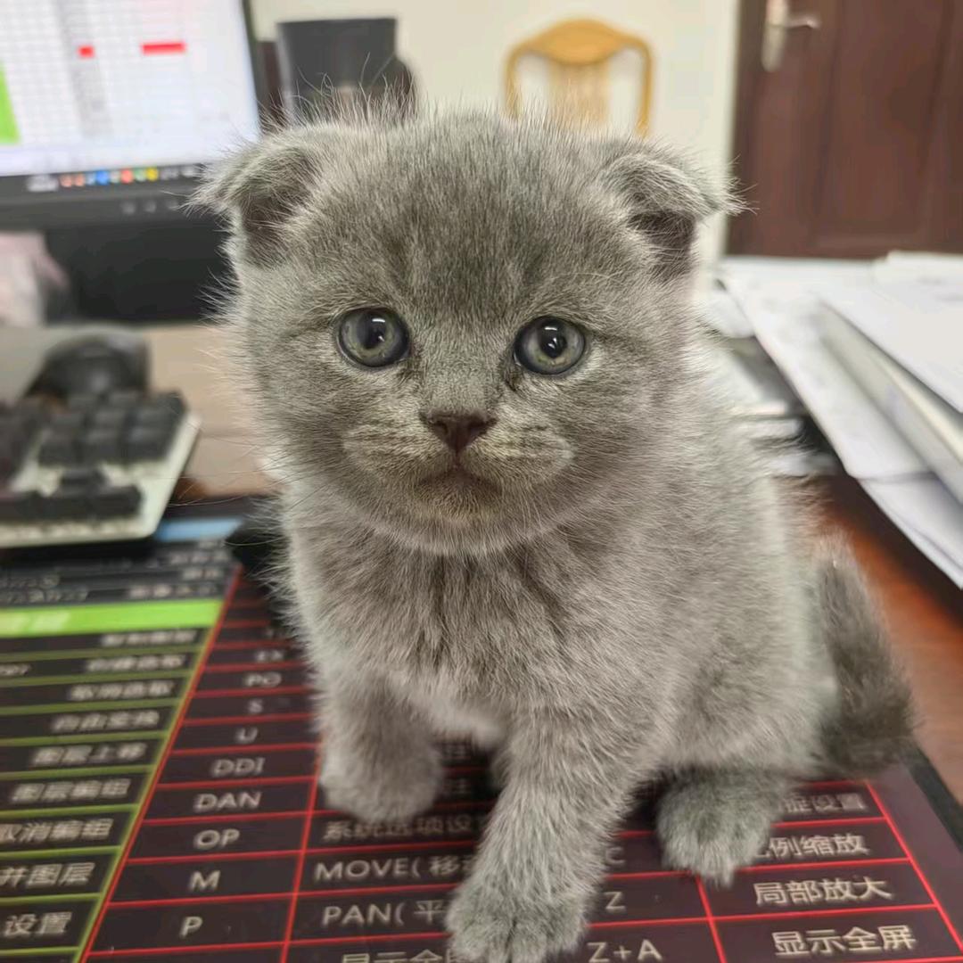 我心如铁，坚不可摧