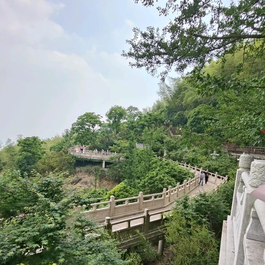 风铃🎐