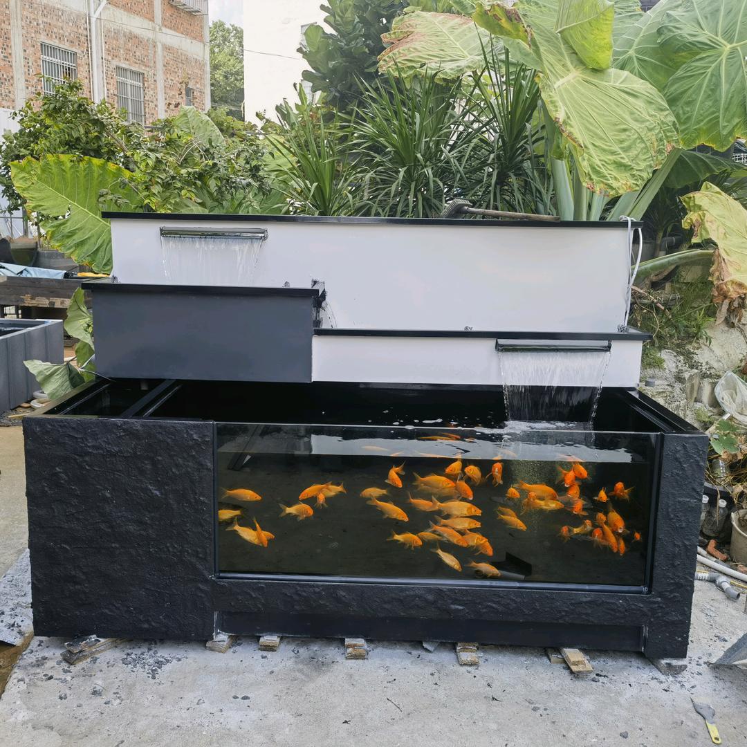 黄金华的宠物用品严选铺