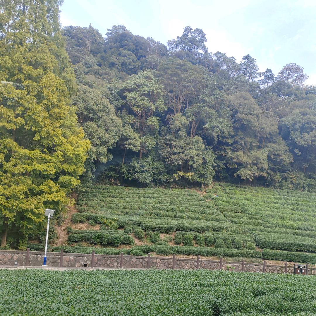 检测地埋电缆家庭暗线故障