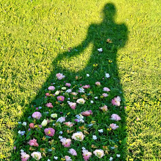 春暖花开🌸