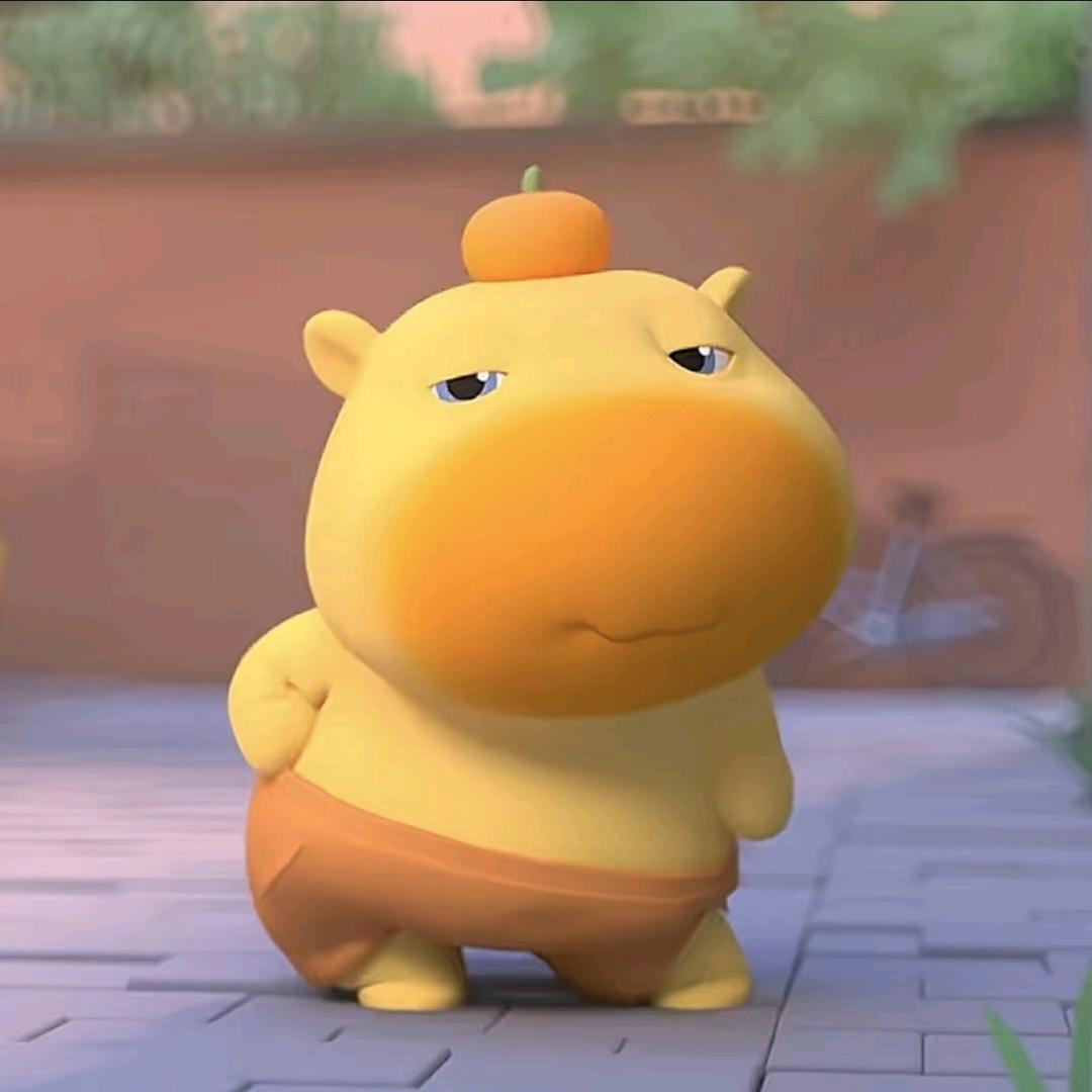 噜噜小水豚