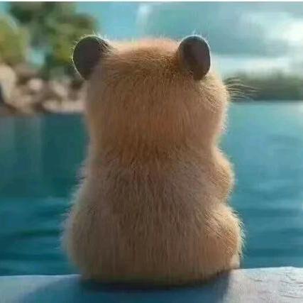 来一碗汇通面(茶小枯®)