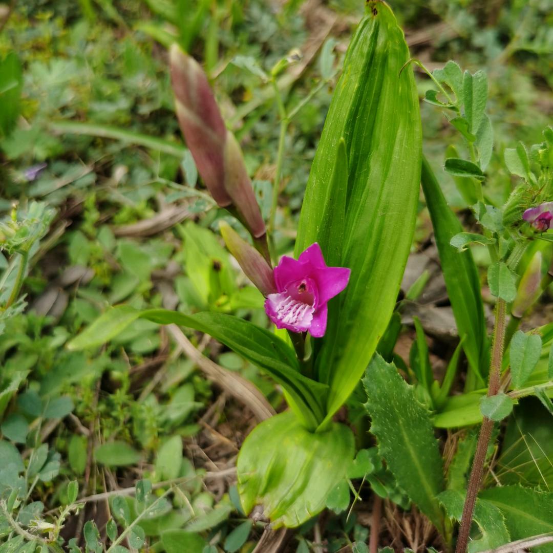 罗格朗一施耐德开关插座