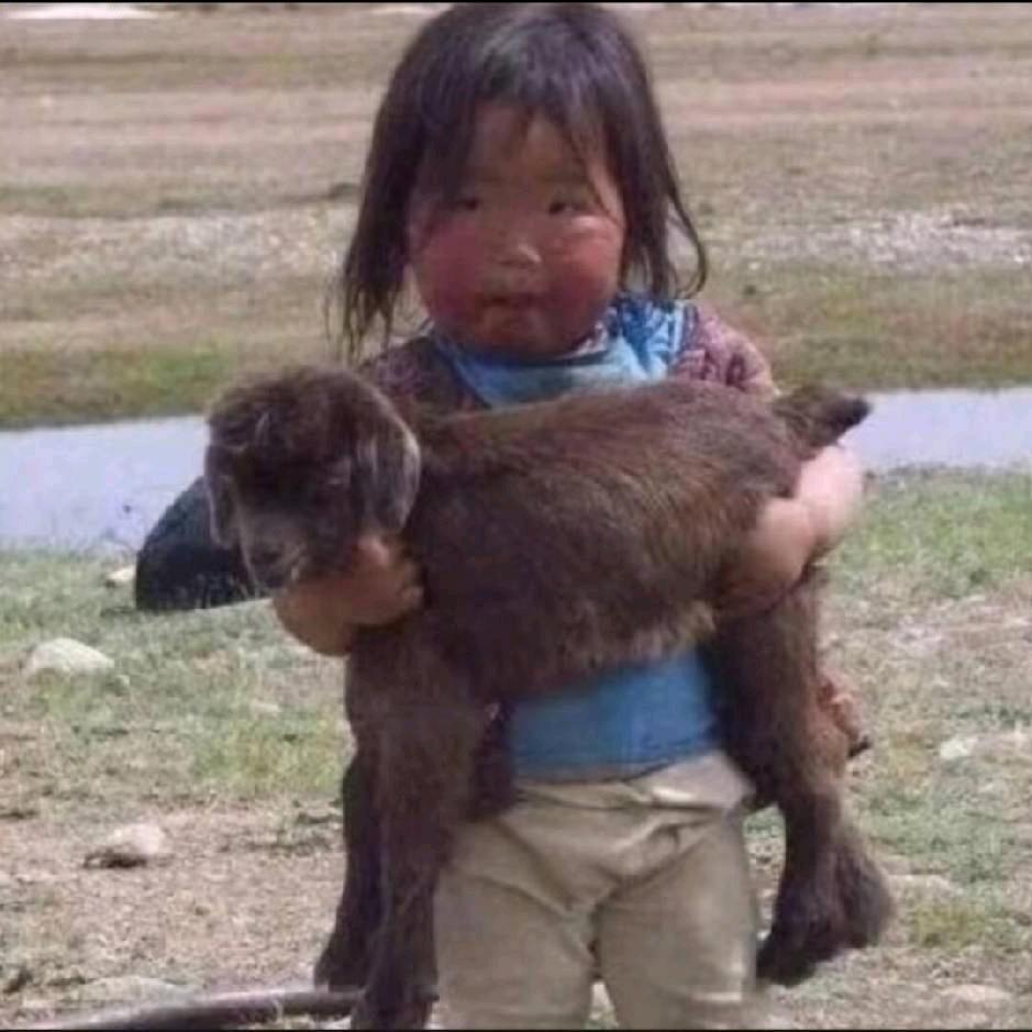 再见.