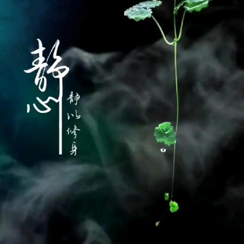 善用其心
