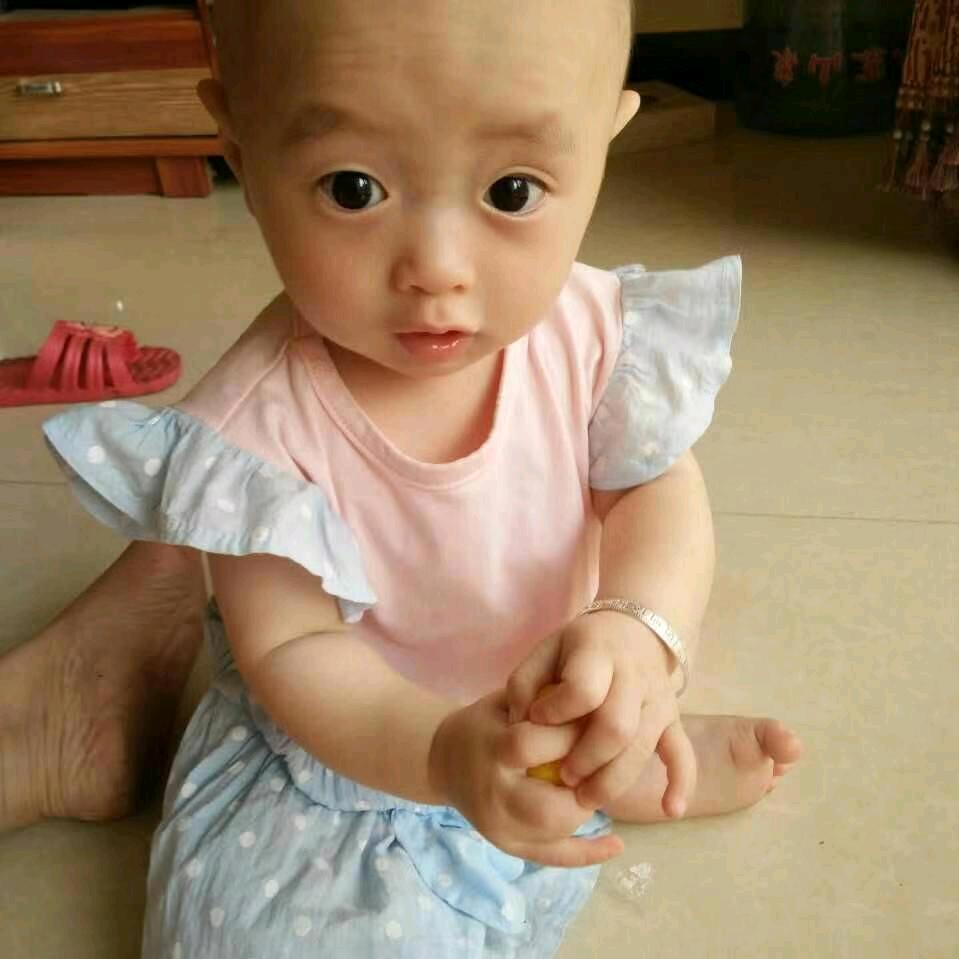 佳鋅在树上