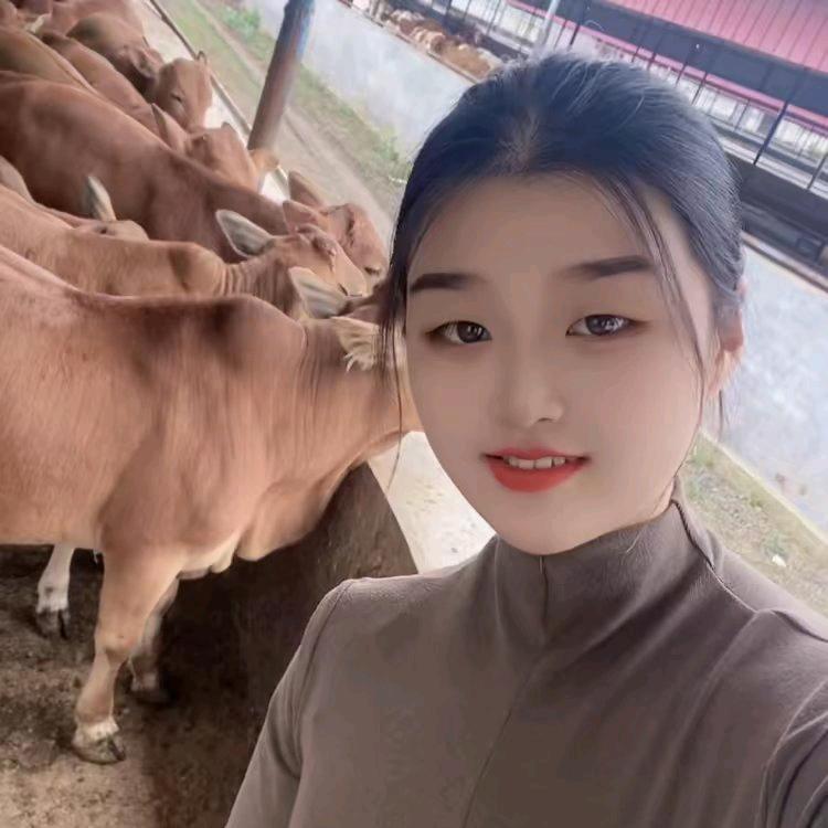 养牛妹子