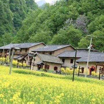 洋瑀山货