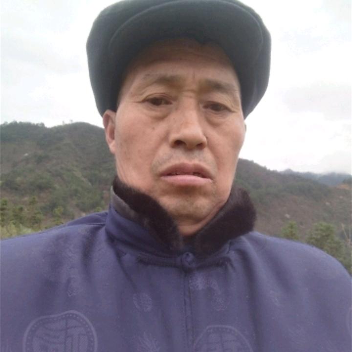 才运来