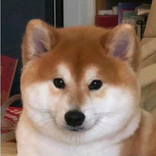 狗子