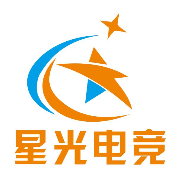 聊城东昌府区星光网络文化俱乐部