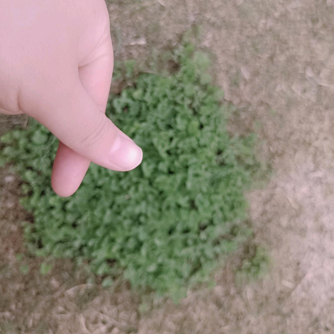 往后余生，请多指教