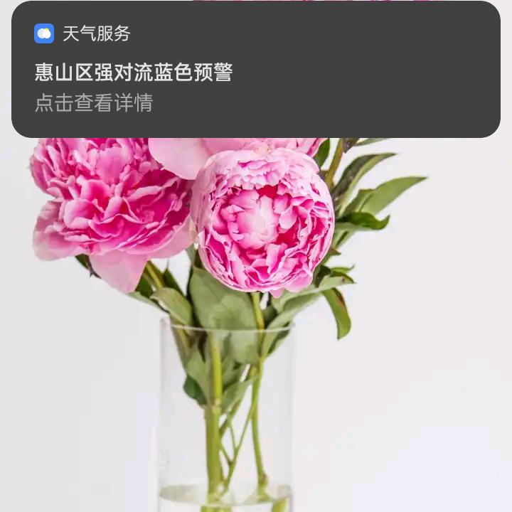 🌸🌸顺风顺水