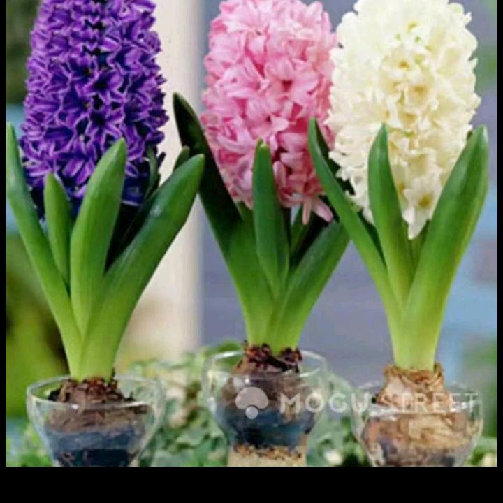 开心就好