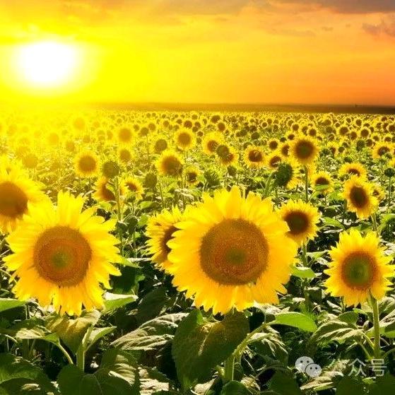 靠谁都不如靠自己💞