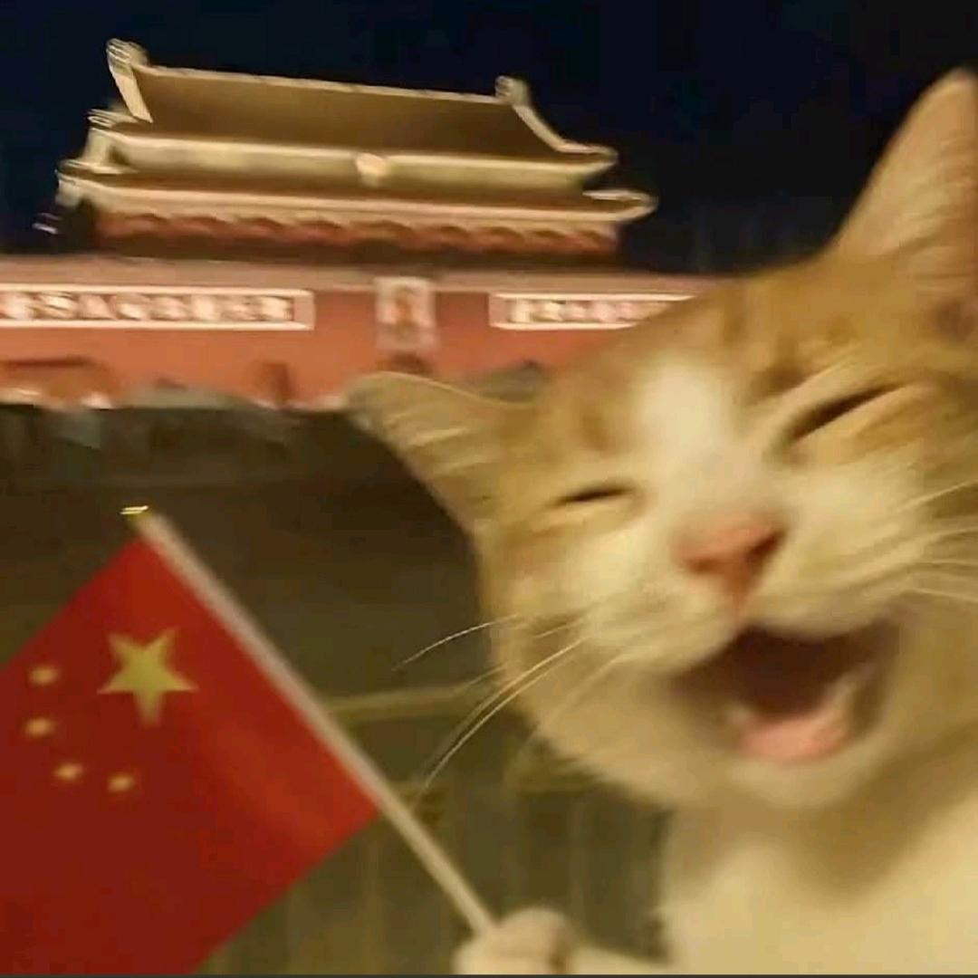 AAA卢记黄山烧饼