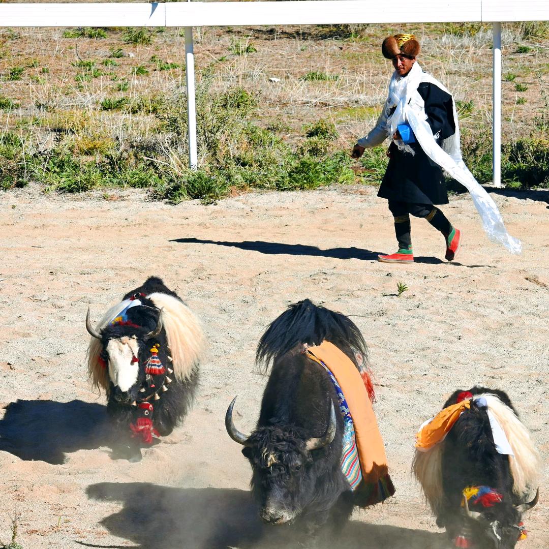 ࿐ནོར་  ☯