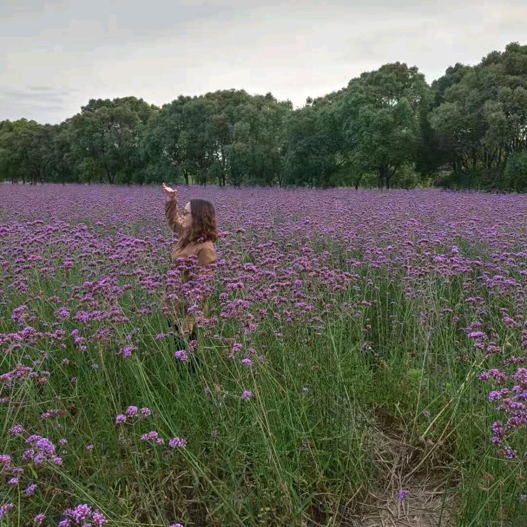 情非得已（橱窗有好物）