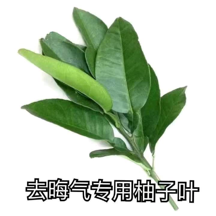 💞ঞᩚ遇见
