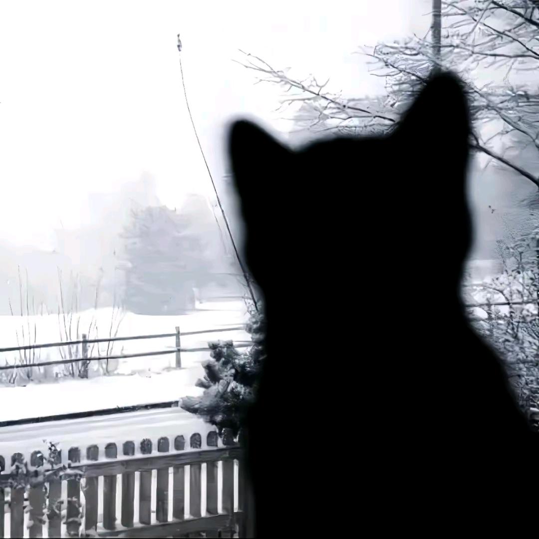 痴