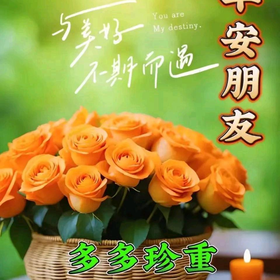 笔墨生花