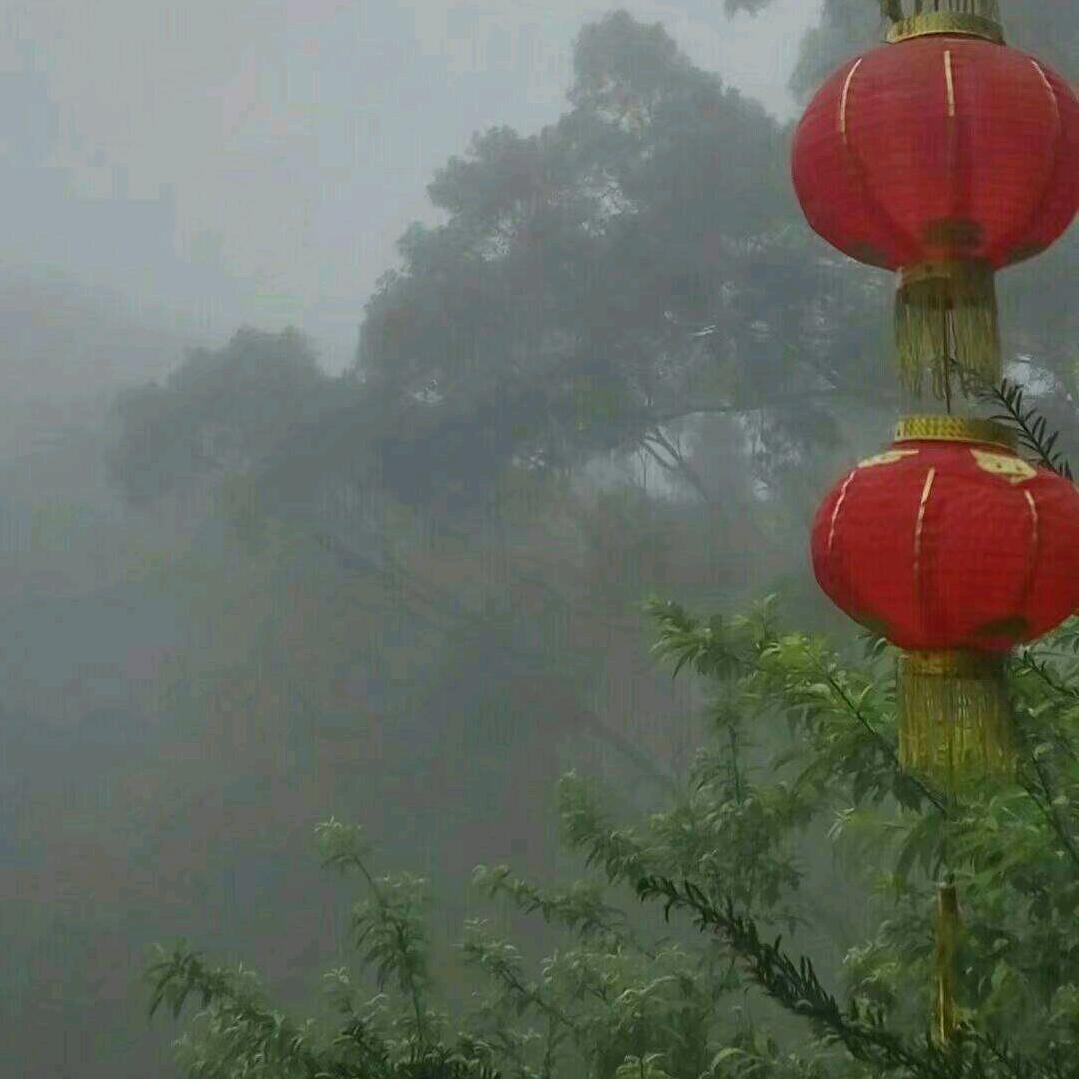 打扰了