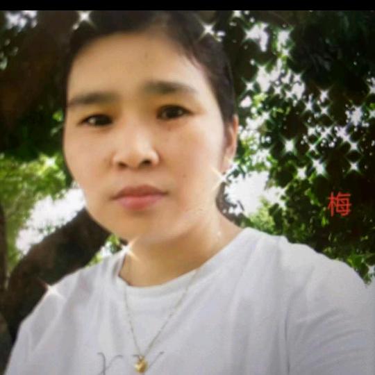 拾月寒梅