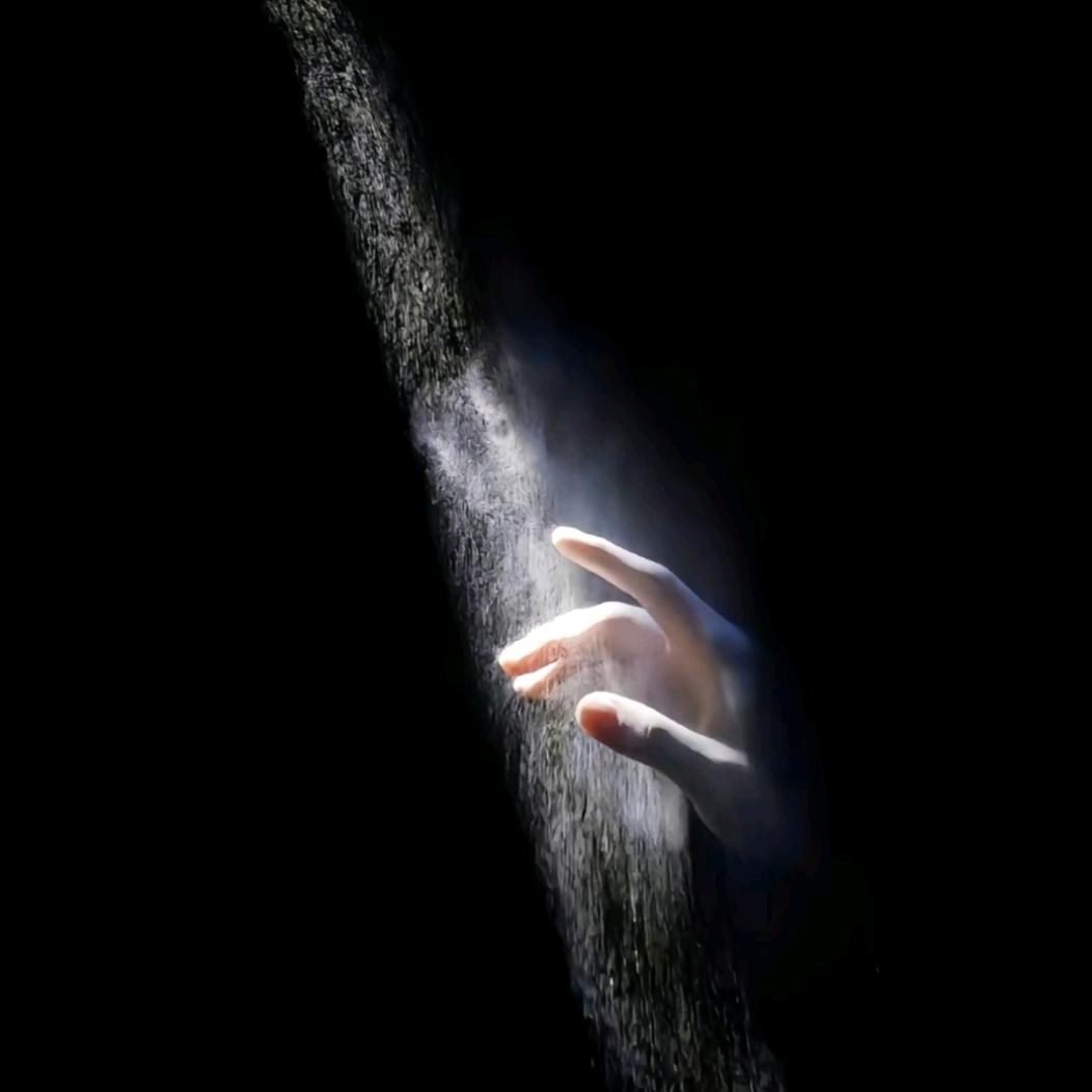 土狗不吃青菜丶