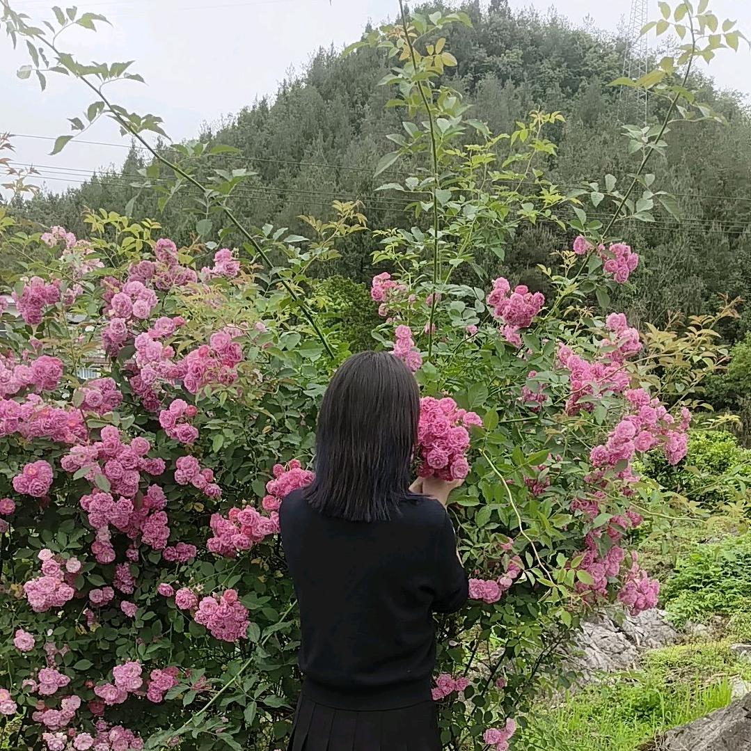 我@平🇨🇳