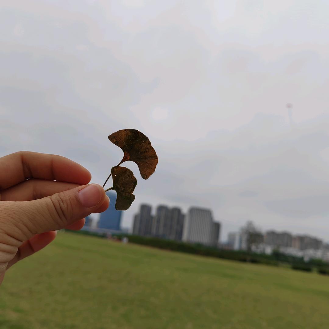 玲玲女装穿搭💋