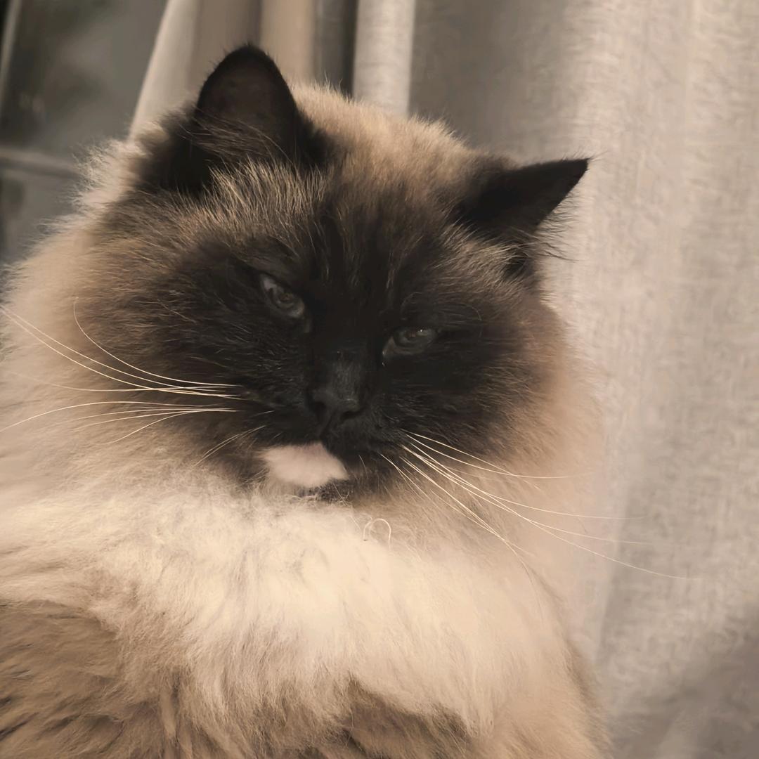 小兔子