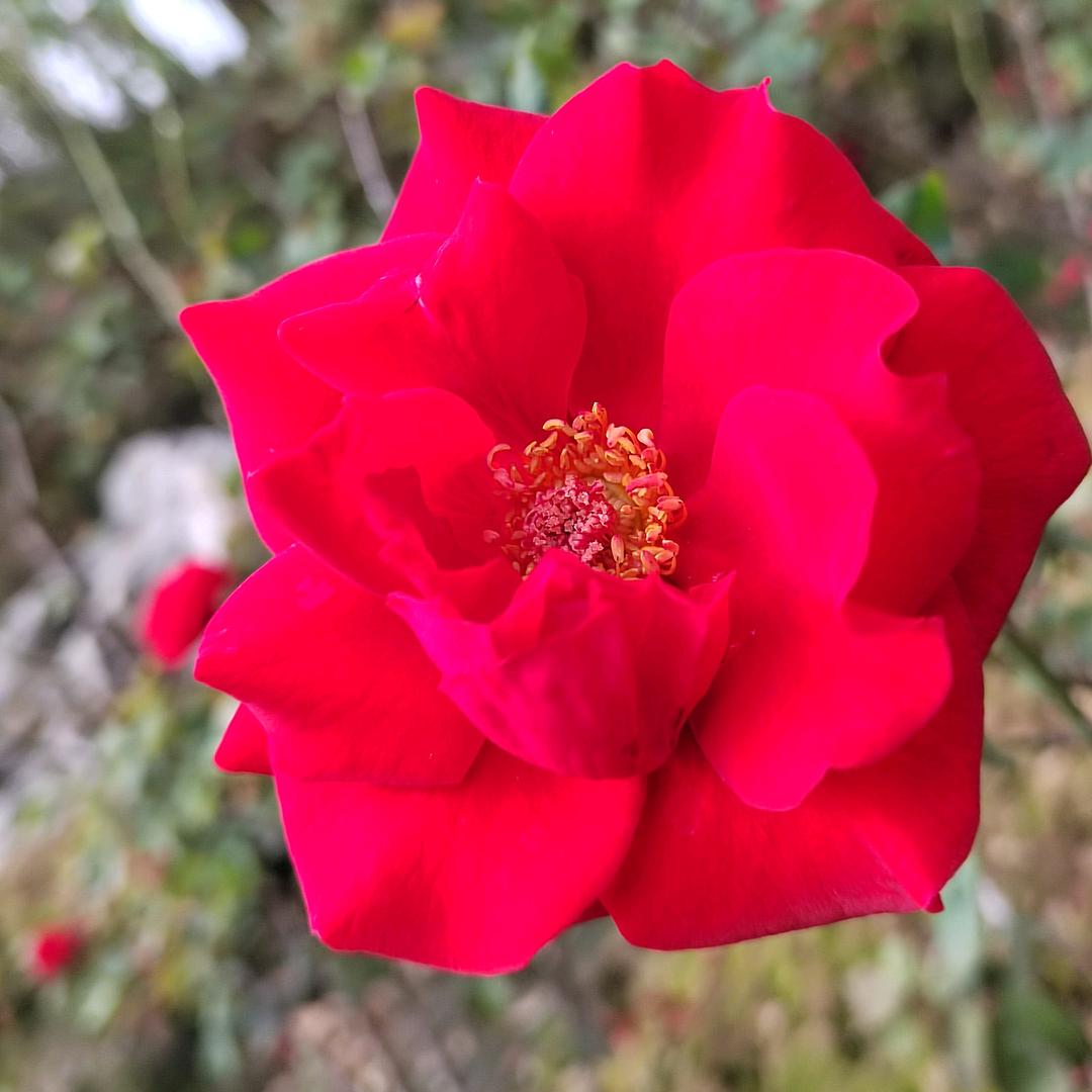 喜欢你从一而终🐭认真且怂🙊