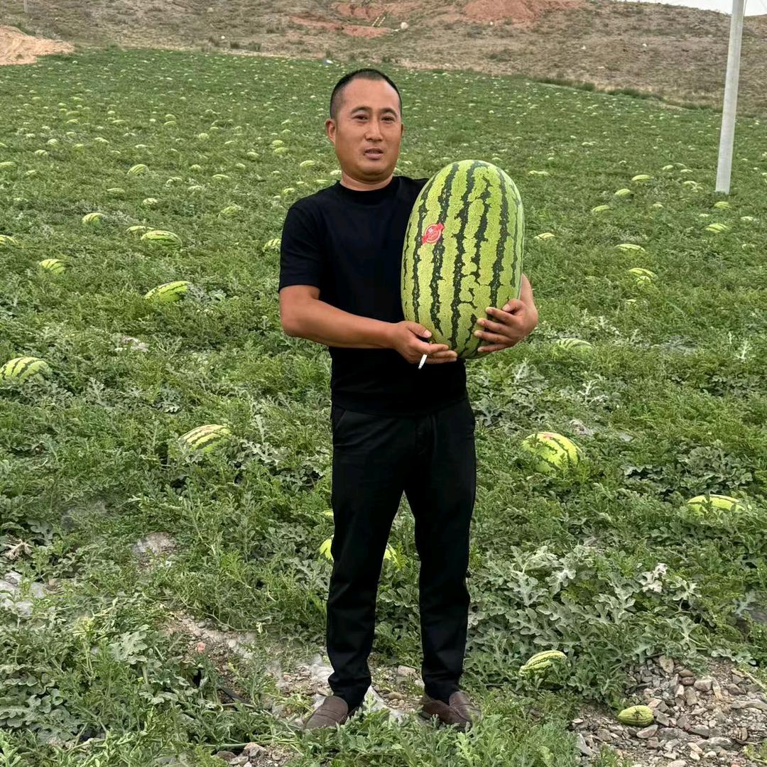 砀山县会龙农业科技发展有限公司