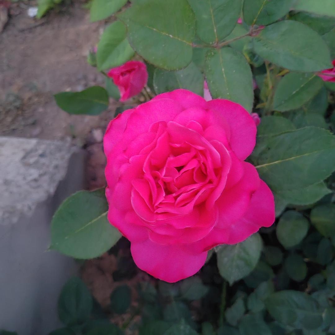 向前走！别回头！