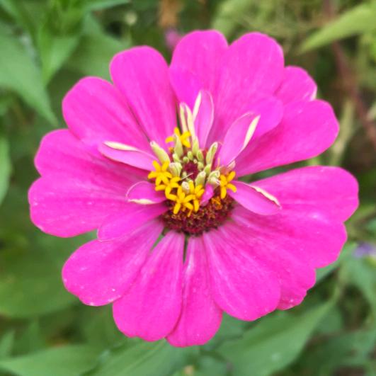 有点甜李会芳